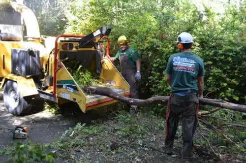 tree services Haleyville